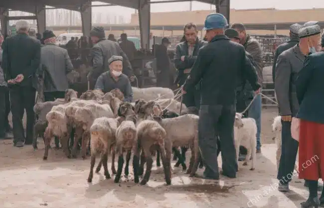 Kashgar-Livestock-Market-Uygur-culture