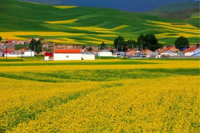 9 Photos That Will Inspire You to Explore the Silk Road