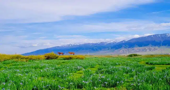 One Place on the Silk Road You Haven’t Visited or Even Heard of — But Should