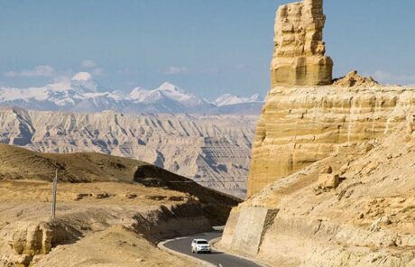 Zhada-Earth-Forest-1 | China Xian Tour: Private & Tailor-Made China Tours