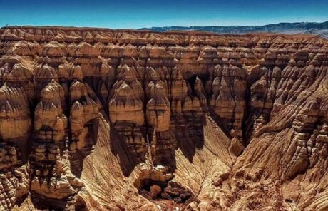 Zhada-Earth-Forest-2 | China Xian Tour: Private & Tailor-Made China Tours