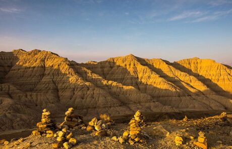 Zhada-Earth-Forest-3 | China Xian Tour: Private & Tailor-Made China Tours