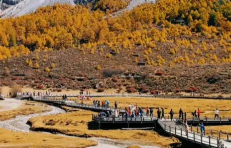 daocheng yading in autumn - China Xian Tour: Private & Tailor-Made China Tours Daocheng Yading in Autumn