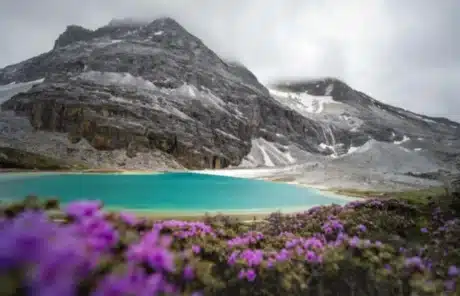 daocheng yading in spring - China Xian Tour: Private & Tailor-Made China Tours Daocheng Yading in Spring