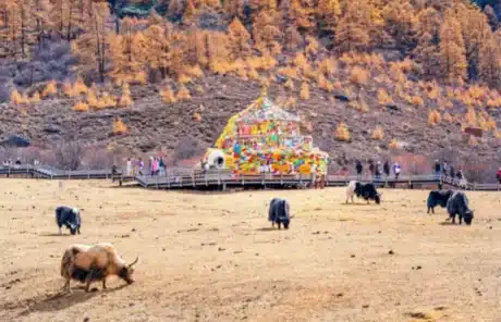 luorong pasture - China Xian Tour: Private & Tailor-Made China Tours Luorong Pasture