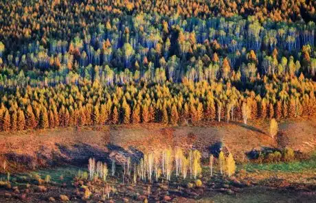 Best Places to Photograph Autumn in Yunnan