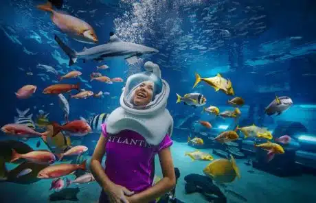 Sanya Beach Holiday: 6 Days Surf Class Coffee Factory Tour