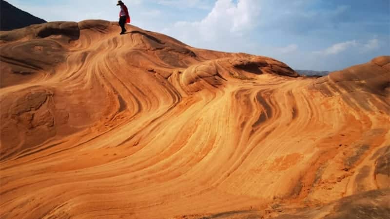 微信图片_20211011163545_副本 | China Xian Tour: Private & Tailor-Made China Tours