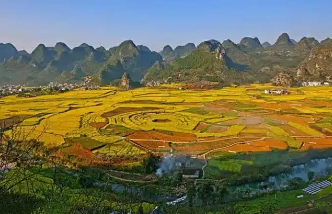 Colorful Fields of Wanfenglin