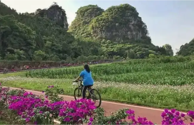 Cycling Around the Forest of Peaks of Wanfenglin