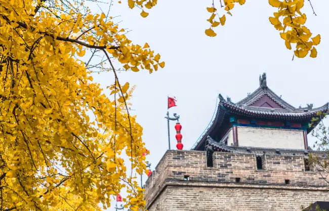 Autumn in Xian - China Xian Tour: Private & Tailor-Made China Tours Autumn in Xian