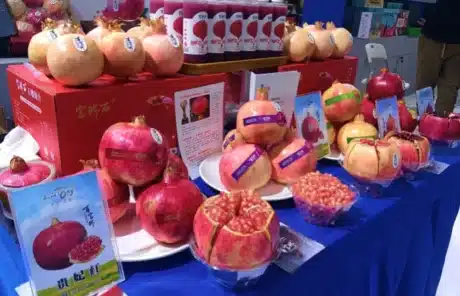 Xian Lintong Pomegranate Festival - China Xian Tour: Private & Tailor-Made China Tours Xian Lintong Pomegranate Festival