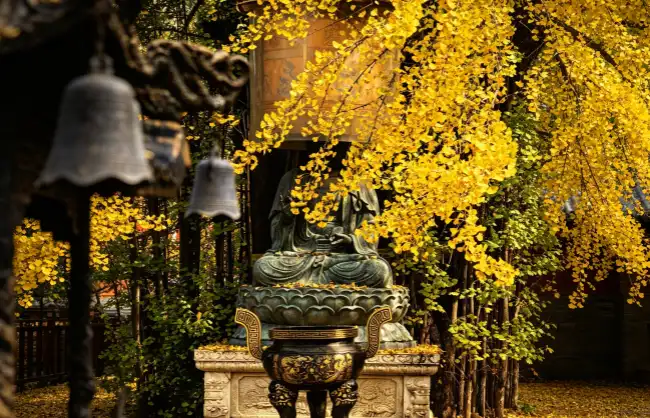 ancient-guanyin-zen-temple-autumn-view | China Xian Tour: Private & Tailor-Made China Tours Ancient Guanyin Zen Temple autumn view
