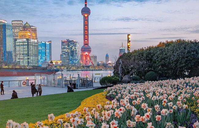 shanghai-in-spring | China Xian Tour: Private & Tailor-Made China Tours shanghai-in-spring