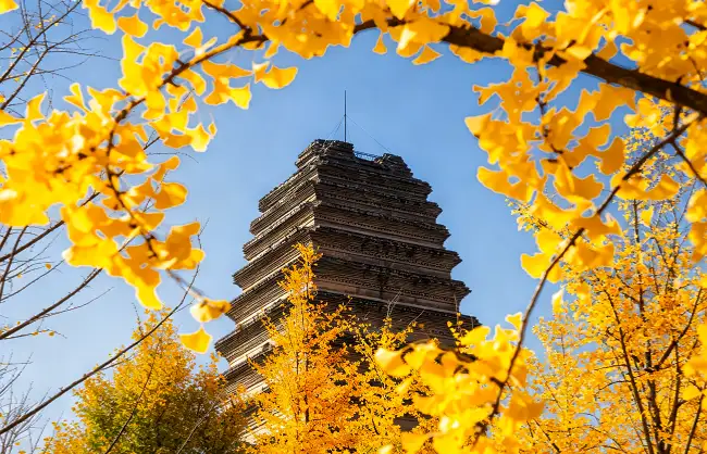 small-wild-goose-pagoda-in-november | China Xian Tour: Private & Tailor-Made China Tours Small Wild Goose Pagoda in November