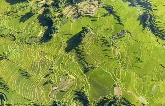 Yuanyang Terrace Yunnan