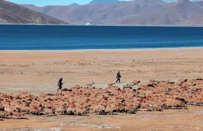 Tibet Yamdrok Lake