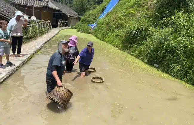 Guizhou fish catching
