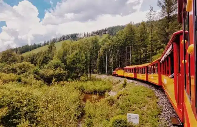 Hulunbuir Moridaga National Forest Park forest train