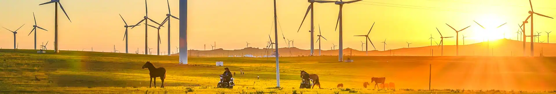 Inner Mongolia Huitengxile Grassland head