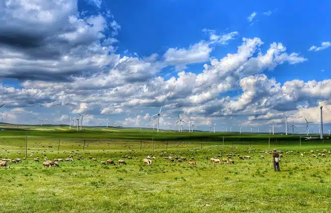 Inner Mongolia Huitengxile Grassland