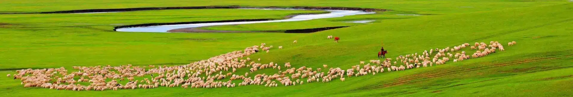Inner Mongolia Xilamuren Grassland