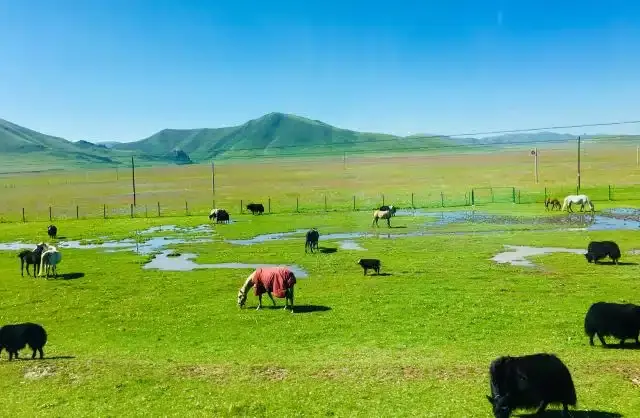 Sangke Grassland