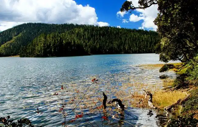 Shangri-La Pudacuo National Park Yunnan