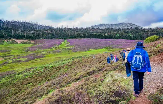 Thousand Lakes Mountain Yunnan