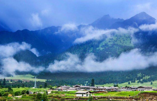 Tibet Lulang Forest