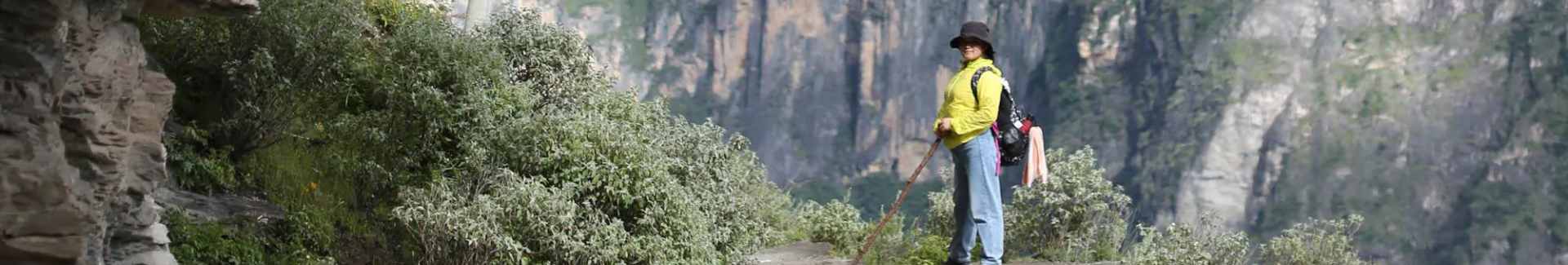 Tiger Leaping Gorge head
