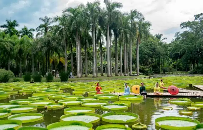 Xishuangbanna-Tropical Botanical Garden Yunnan