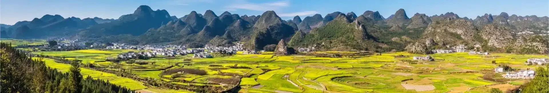 Guizhou Wanfenglin