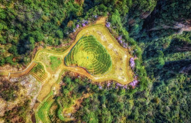 Yuanjiajie Sky Field Garden