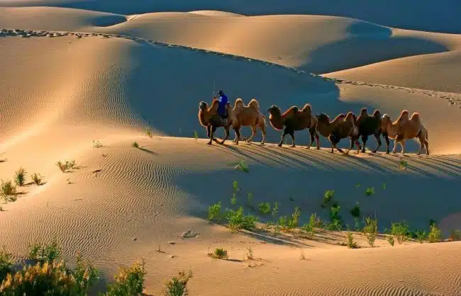 Inner Mongolia Badain Jaran Desert