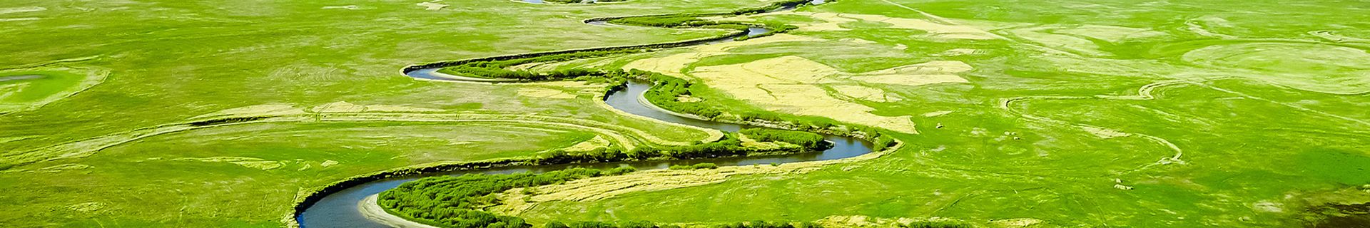 Inner Mongolia Hulunbuir Grassland head