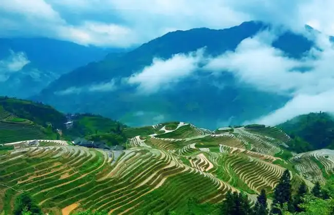 Longji Rice Terraces