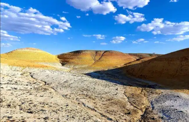 Xinjiang Kalamaili Nature Reserve
