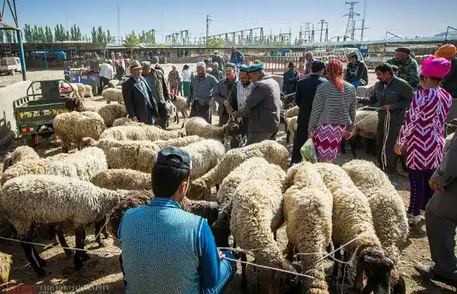 Xinjiang Kashgar Sunday Livestock Bazaar