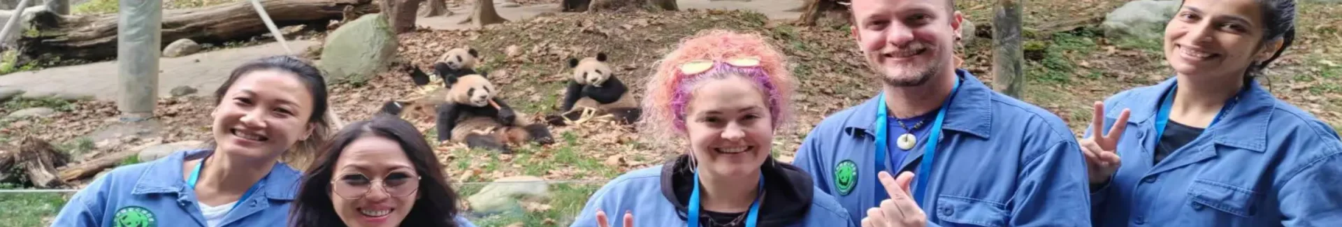 Chengdu Panda Volunteer