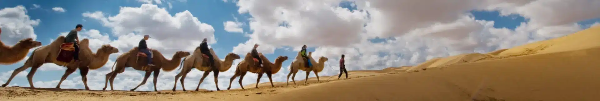 Inner Mongolia Kubuqi Desert head