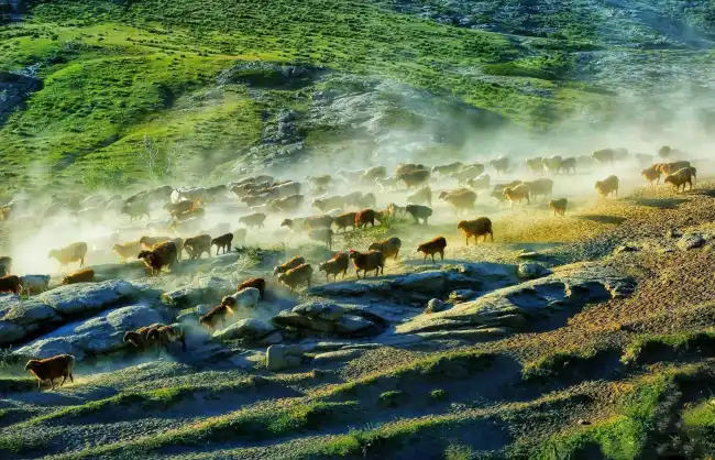 Kazakh Summer Ranch Xinjiang