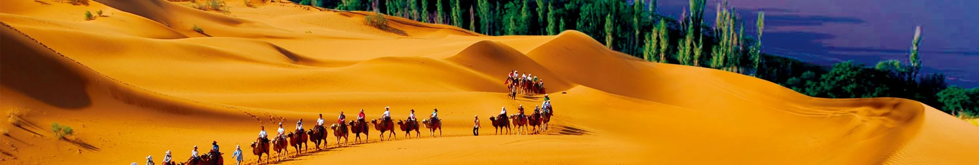 Ningxia Shapotou head
