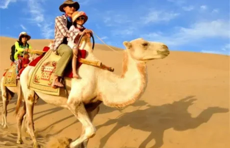 6 Days Ningxia Ultimate Vacation: Desert Camping & Winery