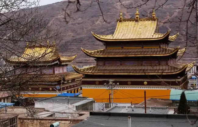 Xining Longwu Monastery