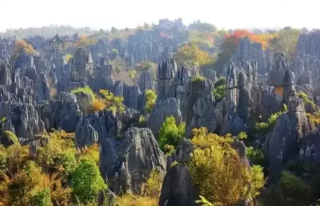 Yunnan Stone Forest Kunming - China Xian Tour: Private & Tailor-Made China Tours Yunnan Stone Forest Kunming