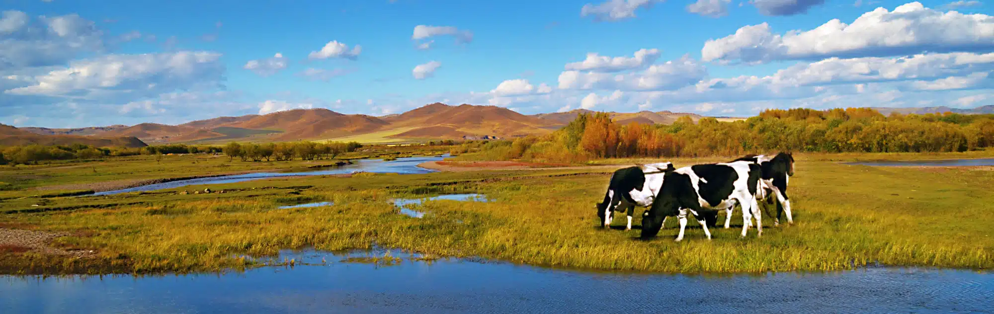 Inner Mongolia Hulunbuir Grassland
