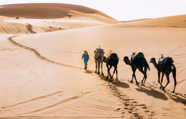 silk-road