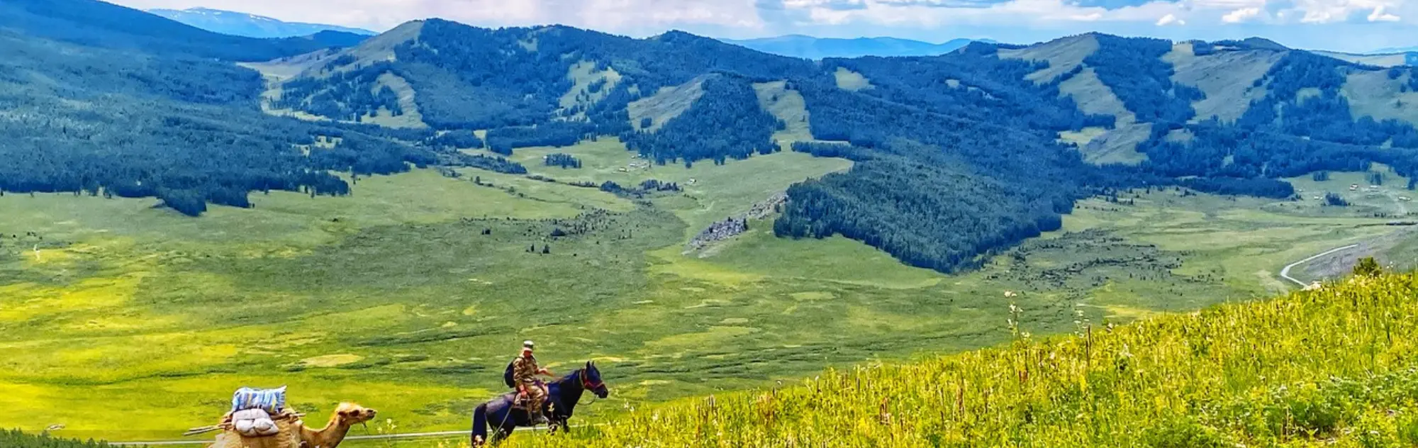 Xinjiang Altay Mountains head