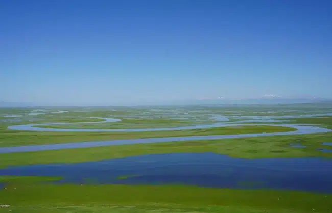 Bayanbulak Grassland in Ili Xinjiang - China Xian Tour: Private & Tailor-Made China Tours Bayanbulak Grassland in Ili Xinjiang